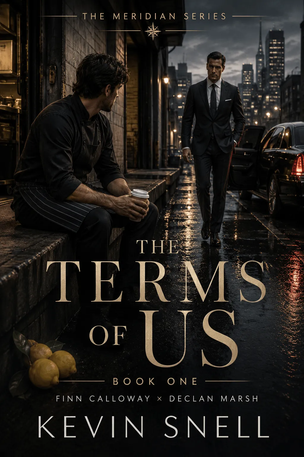 The Terms of Us by Kevin Snell—M/M Romance book cover